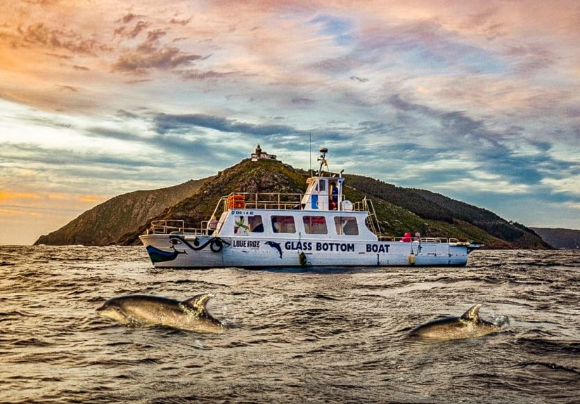 Cruceros Fisterra, Delfine und Faro1