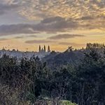 57-FB_IMG_1761665655064