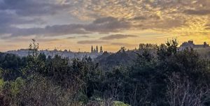 57-FB_IMG_1761665655064