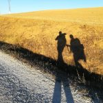 Etapa 19: Sahagún → El Burgo Ranero