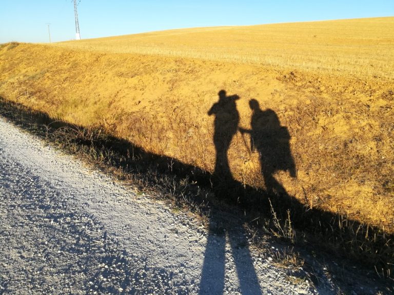 Etapa 19: Sahagún → El Burgo Ranero