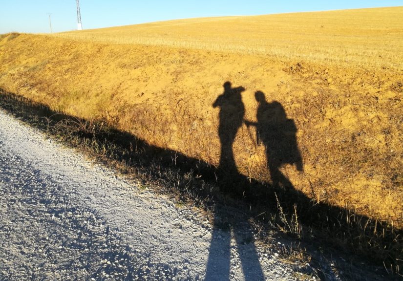 Etapa 19: Sahagún → El Burgo Ranero