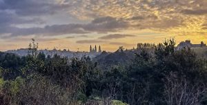 57-IMG_1761665655064