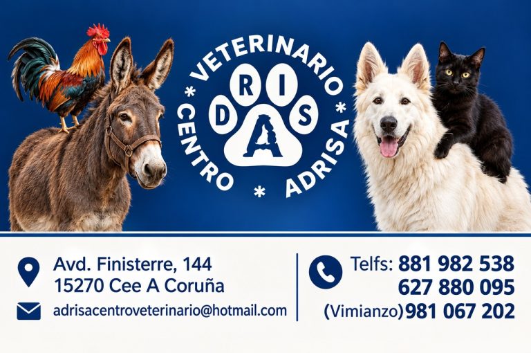 adrisacv 02
