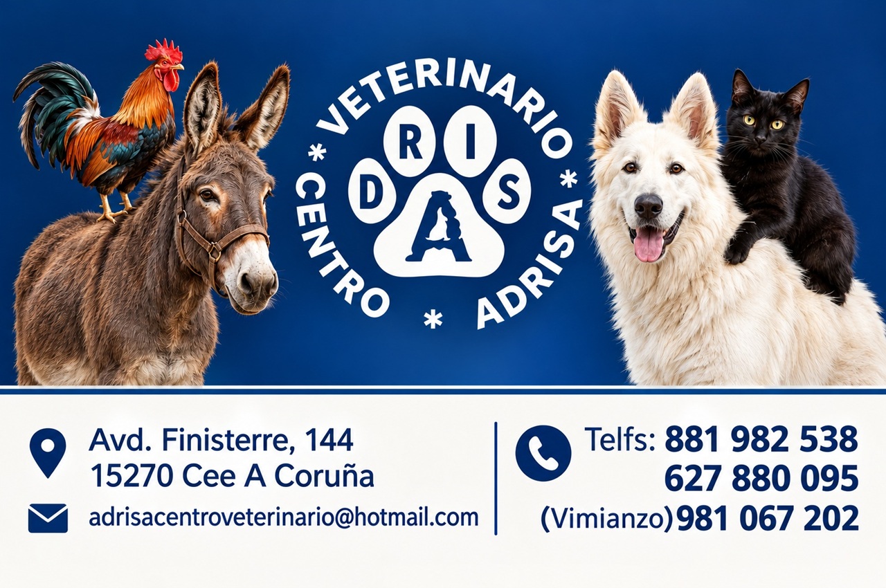 adrisacv 02